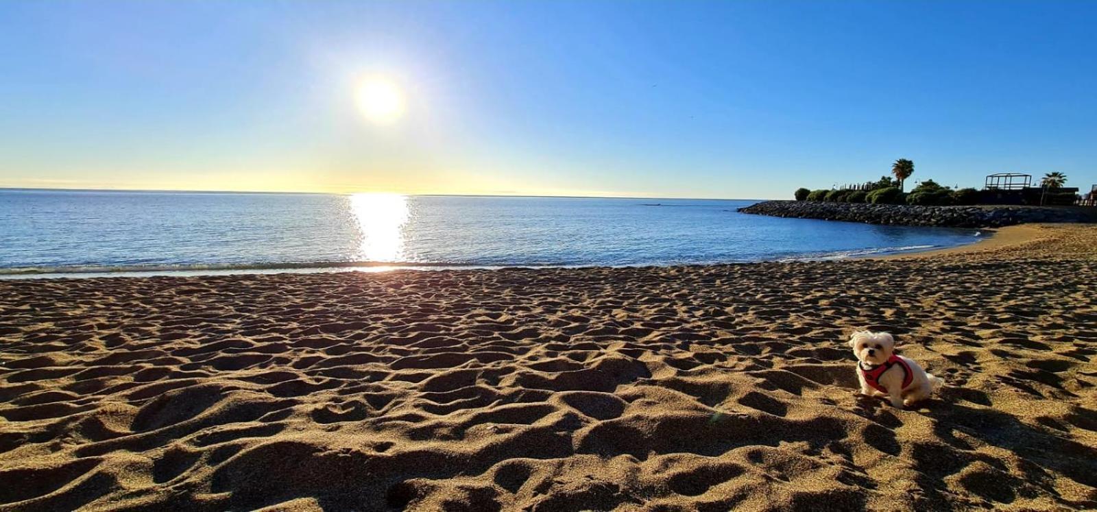 Apartamentos Magic Benalbeach By Benalnova Benalmádena Buitenkant foto